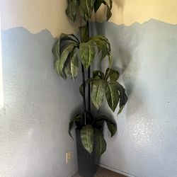 Artificial bamboo plant - tall!