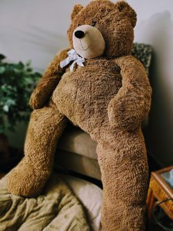 Valentine Bear