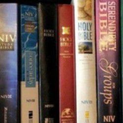 (30) NIV Bibles, $10 - $25 Each, See 2 Pics