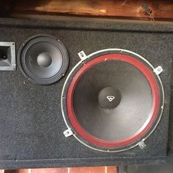 Cerwin Vega Pro Speakers