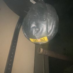 Speed Bag Everlast