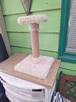 New kity Scratcher