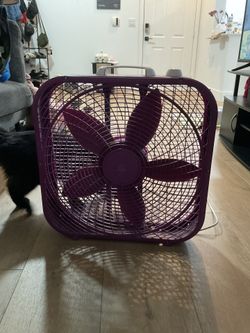 purple fan