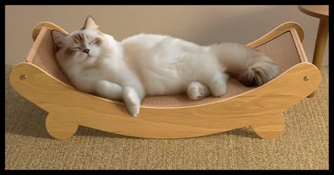 New Cat Hammock/ Scratching Post