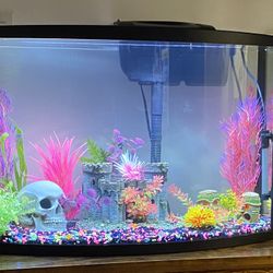 37 Gallon Bow Tank With Stand