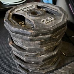 Marcy grip BFCO plate set 