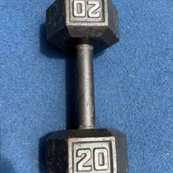 20 lbs dumbbell