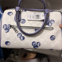 Coach Purse And Wallet