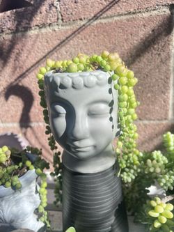 String Of Pearls In Buddha Head