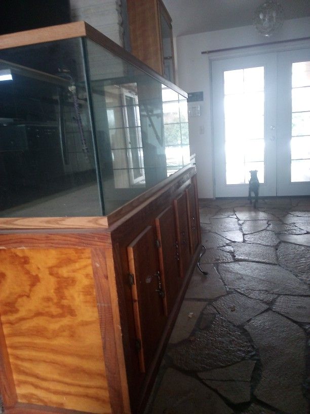 Huge Fishtank