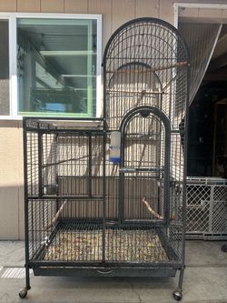 Bird cage.  Jaula grande para pericos oh  love birds,