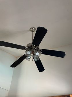 Hampton bay fan