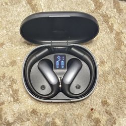 AI Translation Earbuds