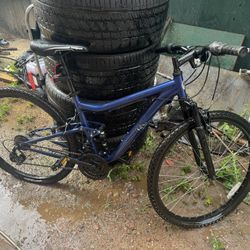 Mongoose Mountain Bicycle 