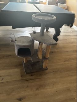 Cat Tower and scratching post