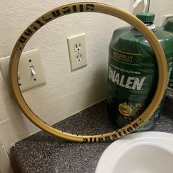 Alienation 20" Bmx Bike Rim.