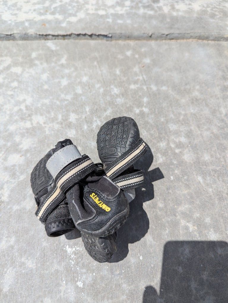 Size 2 Dog Boots
