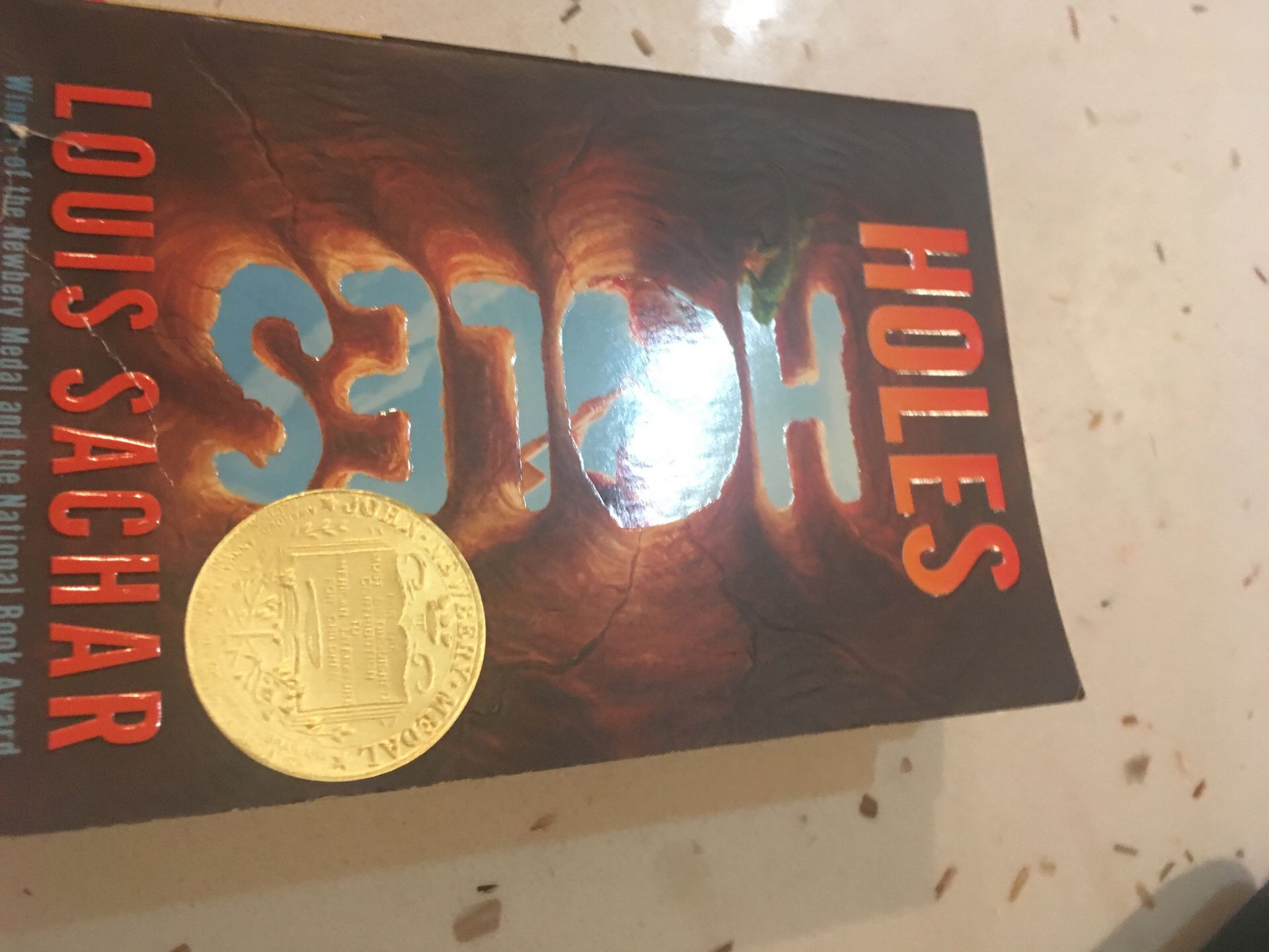 Holes By Louis Sachar Book for Sale in Brooklyn, NY - OfferUp