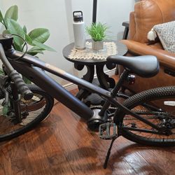 ONYX LZR Ebike - Electric Mountain Bike