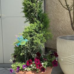 Mint Julep Juniper Patio Perfect Spiral Planter) $145