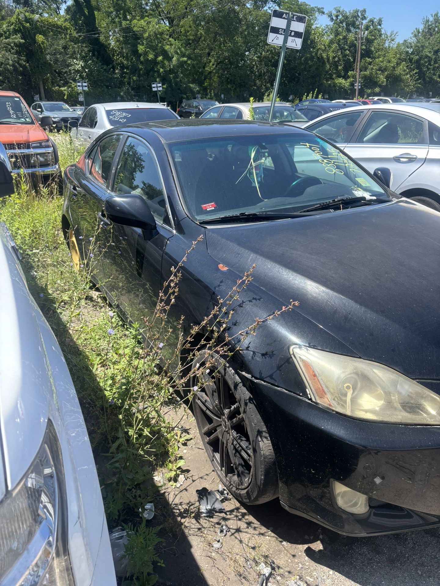 2006 Lexus IS 250