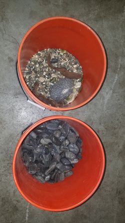 Bucket of rocks