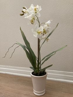 Artificial Orchid