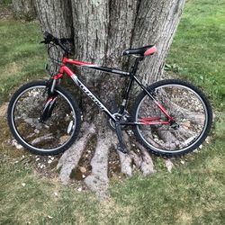 26” Giant Mountain Bike (large Frame)