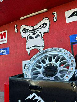 17x9 Rines y Llantas 33/1250/17