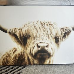 Highland Cow Large Canvas 