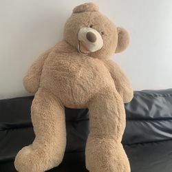 Huge Tady Bear 
