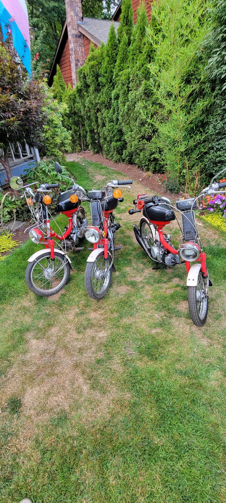 1980 Yamaha Qt50