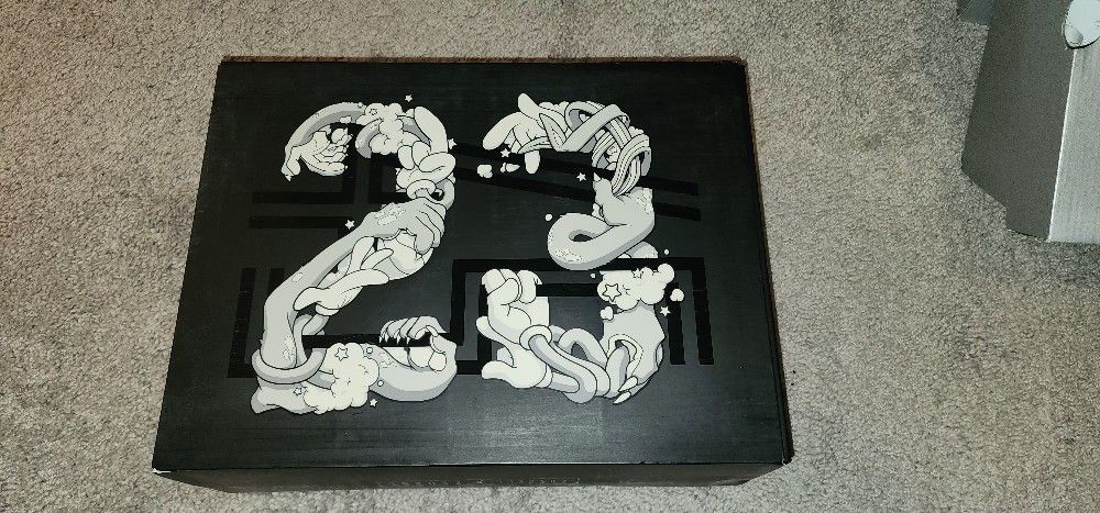 Jordan Space Jam 11 Size 12