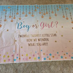 Sign/Banner Gender Reveal