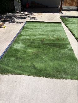 Bermuda sintec grass