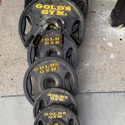 Golds Gyms Olympic Plates