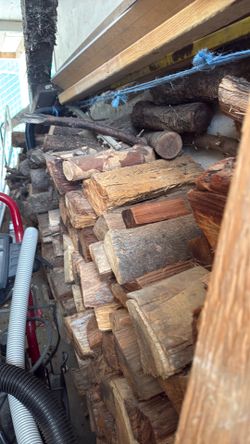 Free CORD of fire wood