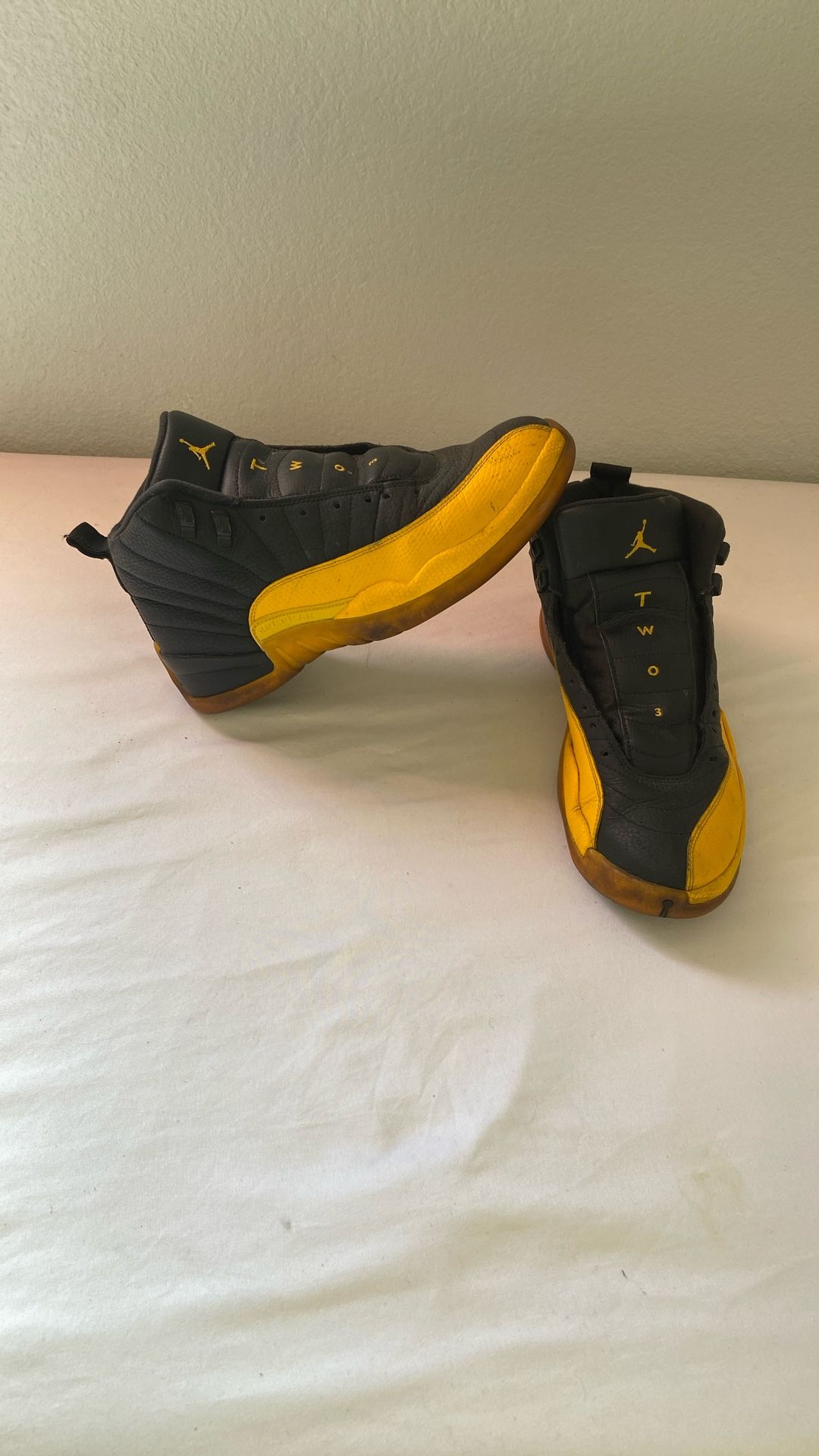 Nike Air Jordan 12