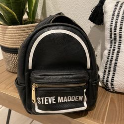 Mini Backpack Purse 