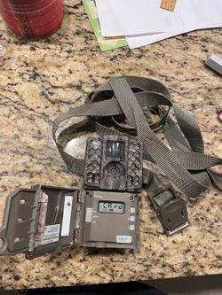 Trail Camera