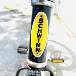 Schwinn 🇺🇸