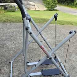 Exercise Equipment (Gazelle Edge)