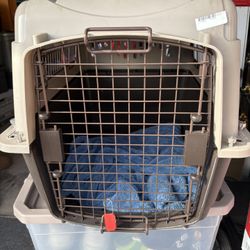 Cat  or Small Dog Holder. 