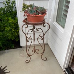 SUCCULENTS & IRON STAND