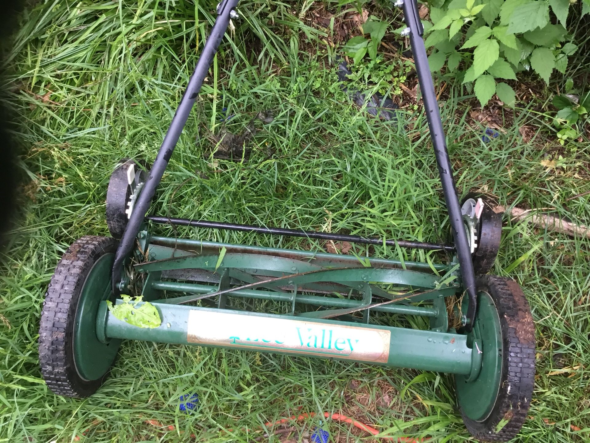 Grass cutter