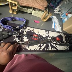 2 Leash One Large Dog Collard