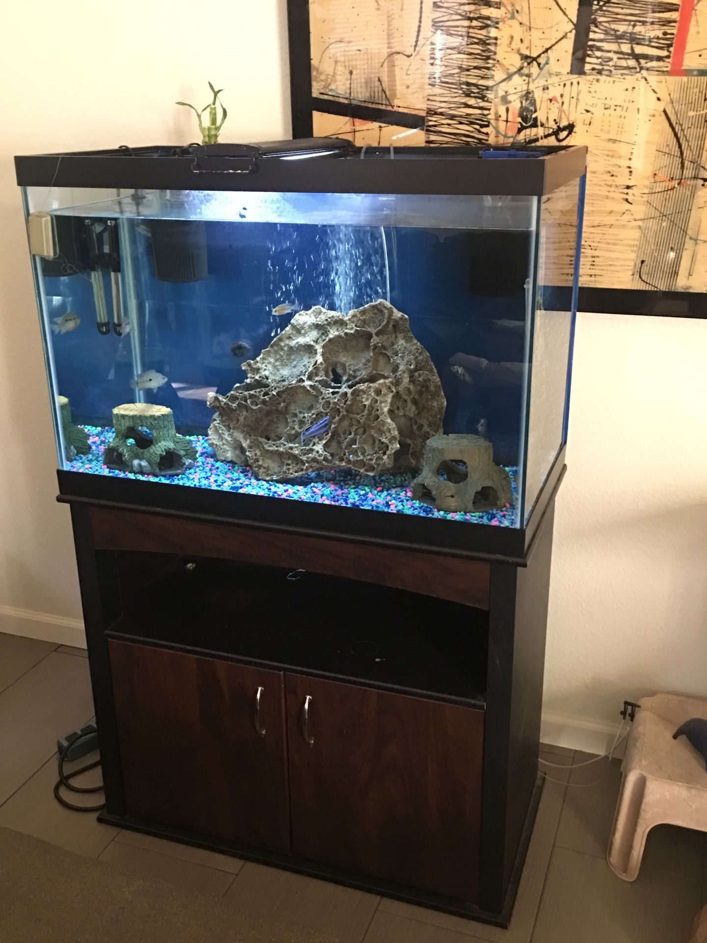 Aqueon 65 gallon fish tank and stand