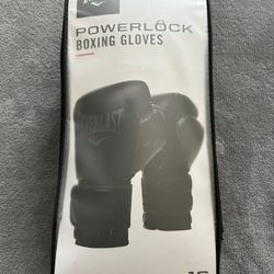 16 oz Everlast Boxing Gloves