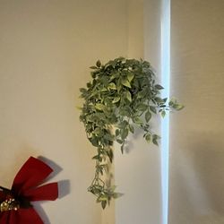 Fake plants