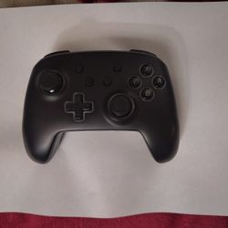 Nintendo Switch Controller 